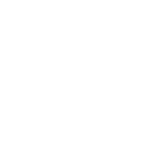 Public Speaker